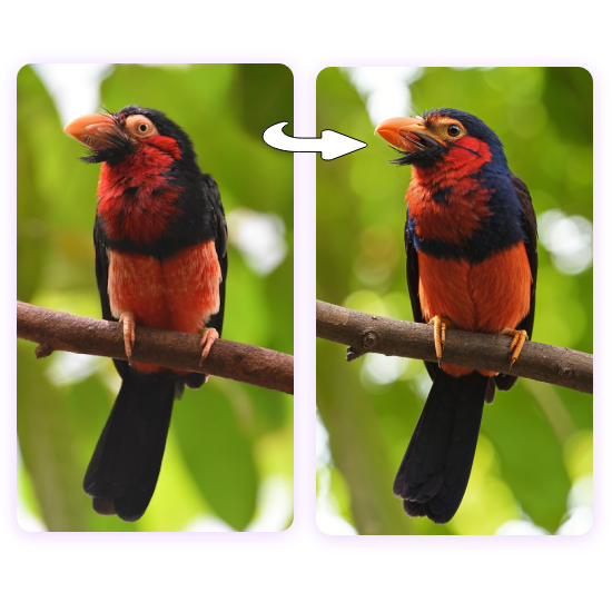 enhance image details